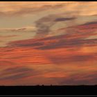 Sonnenuntergang in der Magdeburger Börde