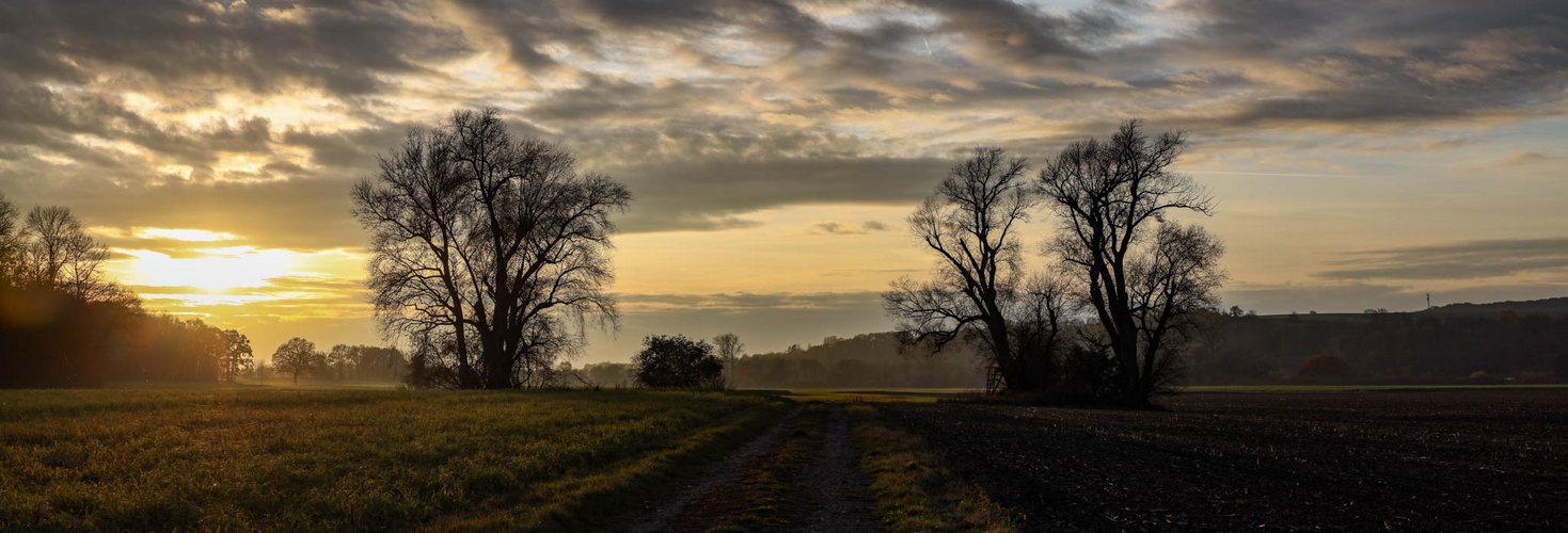 Sonnenuntergang in der Mainaue