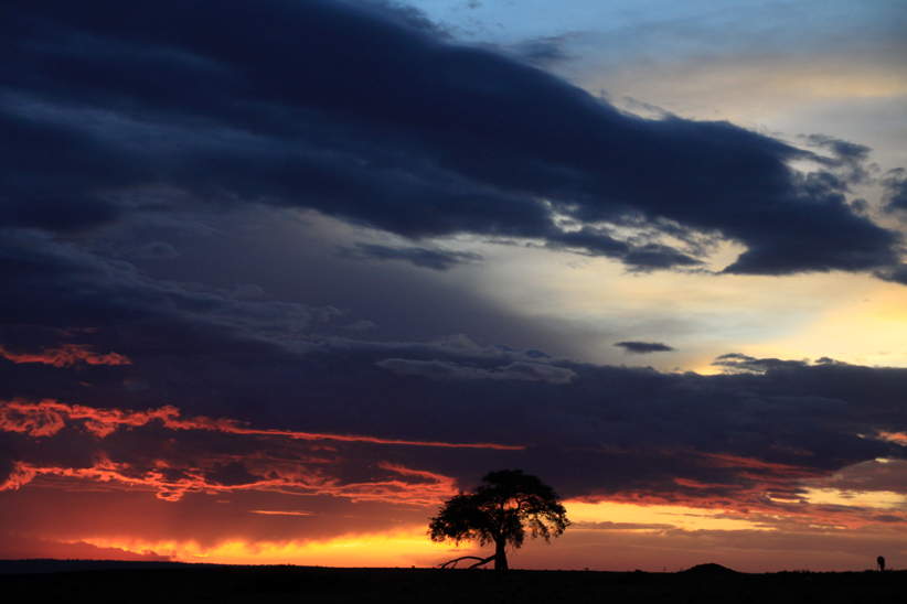 Sonnenuntergang in der Mara