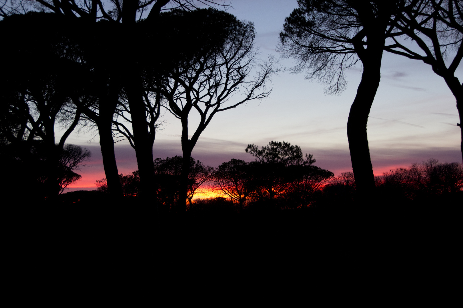 Sonnenuntergang in der Maremma (Südtoskana)