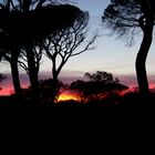 Sonnenuntergang in der Maremma (Südtoskana)