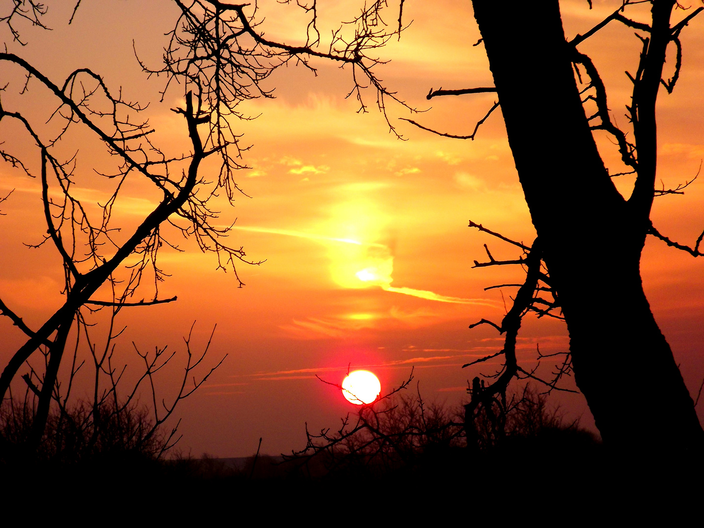 Sonnenuntergang in der Marsch