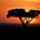 Sonnenuntergang in der Masai Mara