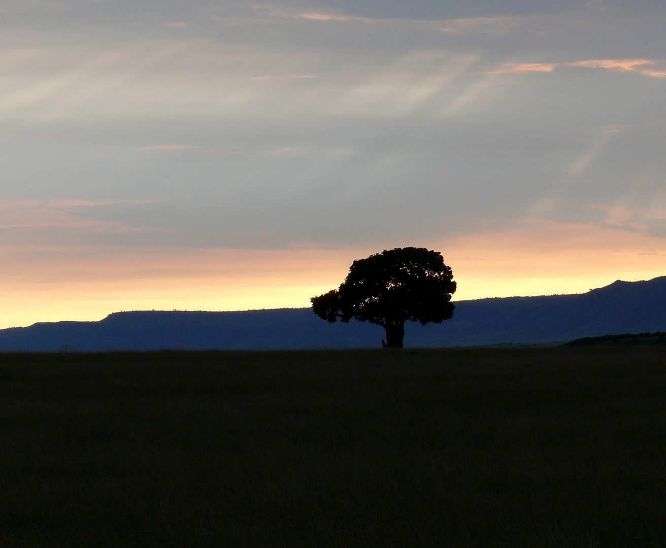 Sonnenuntergang in der Masai Mara