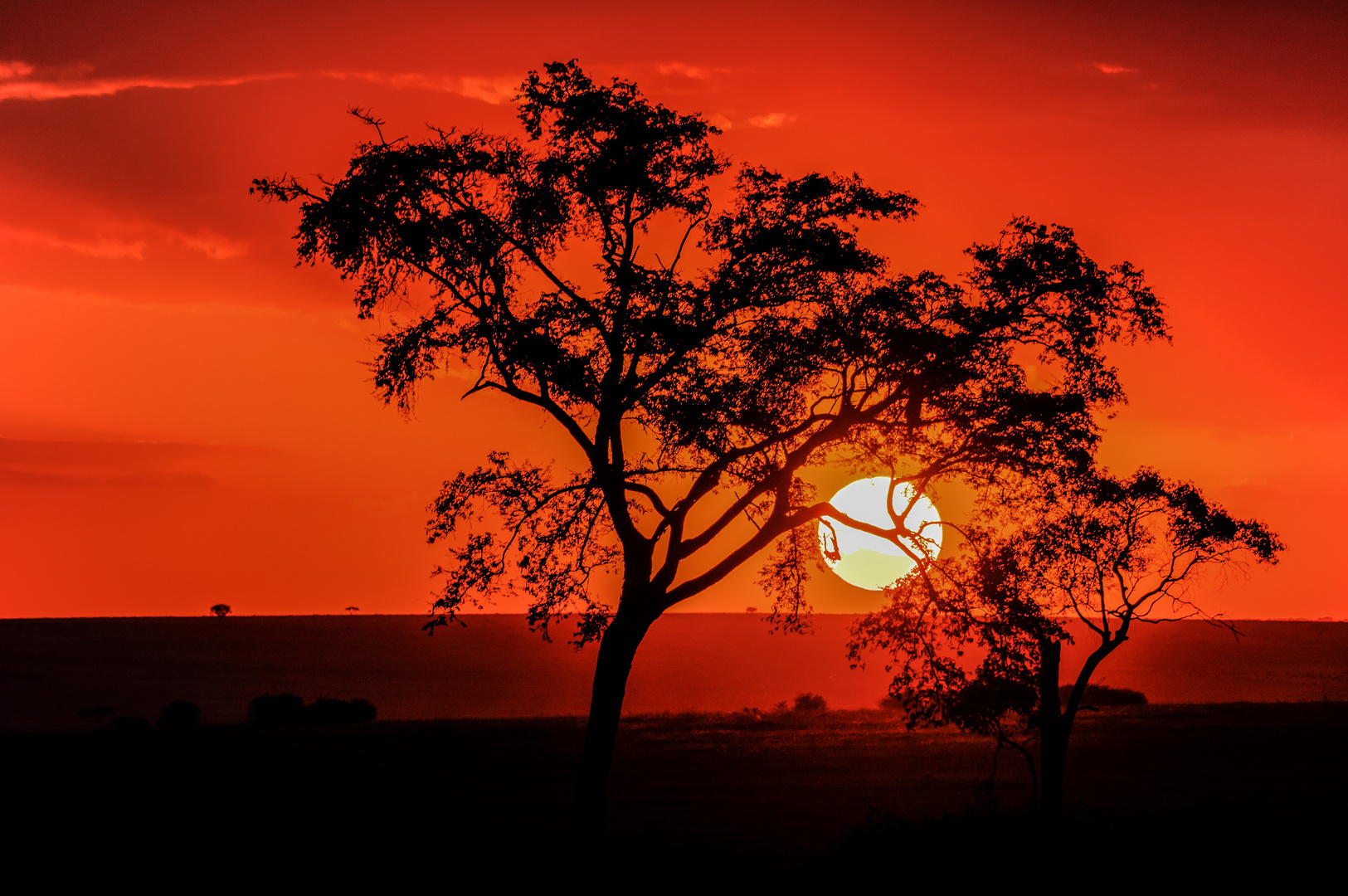 Sonnenuntergang in der Masai Mara