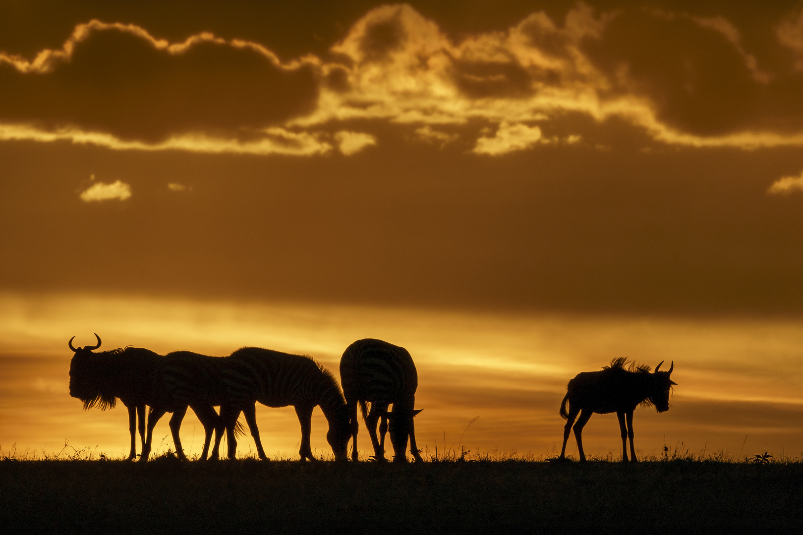 Sonnenuntergang in der Masai-Mara