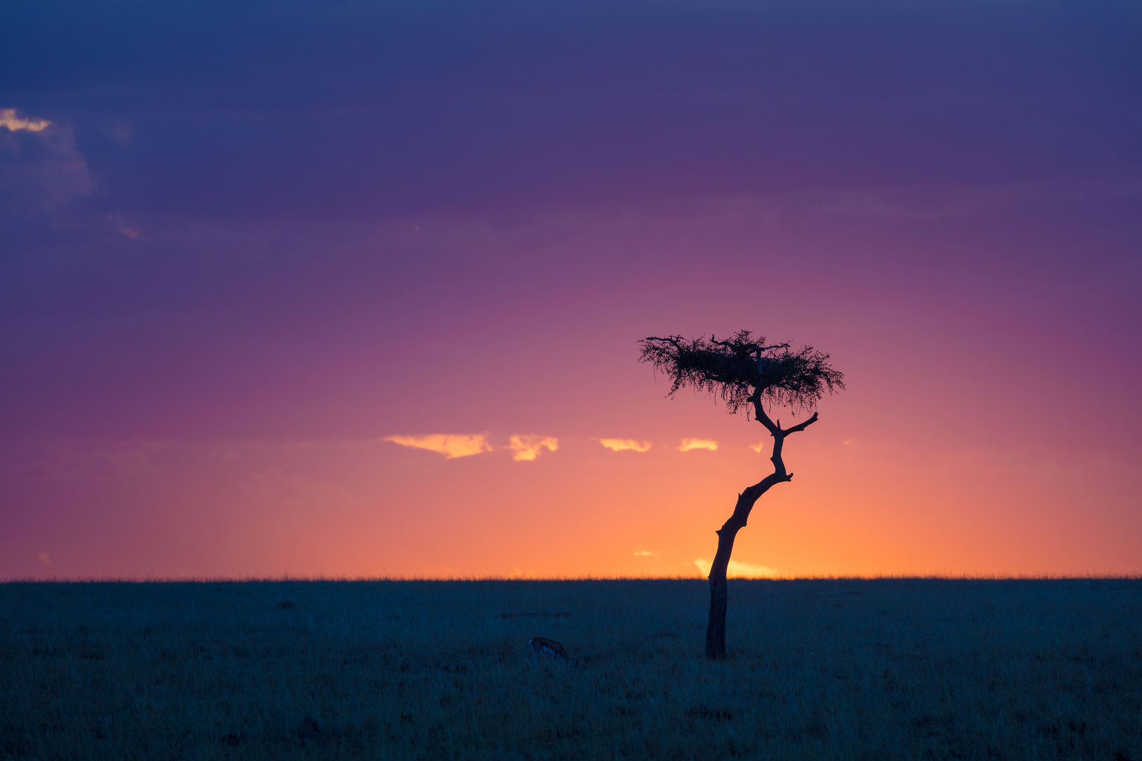 Sonnenuntergang in der Masai MAra (Kenia)