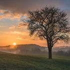 *Sonnenuntergang in der Moseleifel*