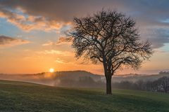 *Sonnenuntergang in der Moseleifel*