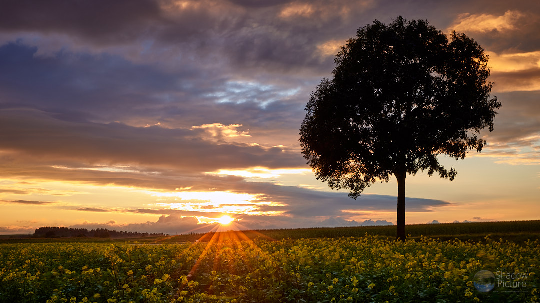 Sonnenuntergang in der Nähe der Wutachschlucht…