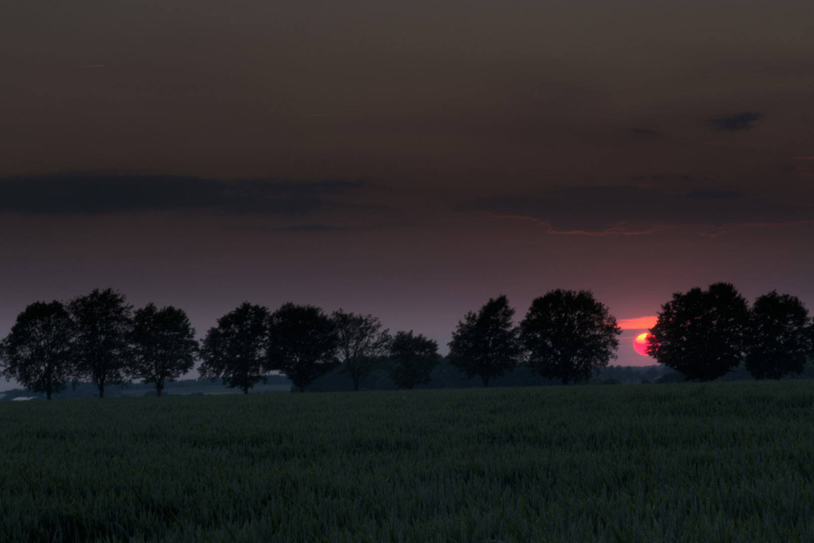 Sonnenuntergang in der Nähe von Havixbeck