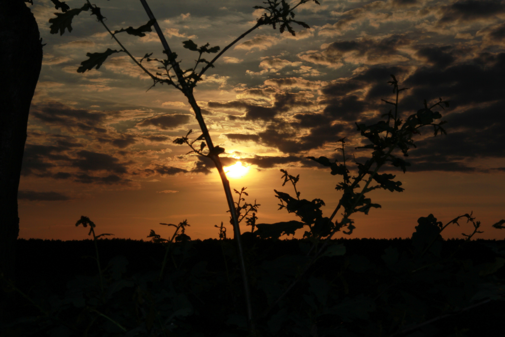 Sonnenuntergang in der Nähe von Wietzenbruch