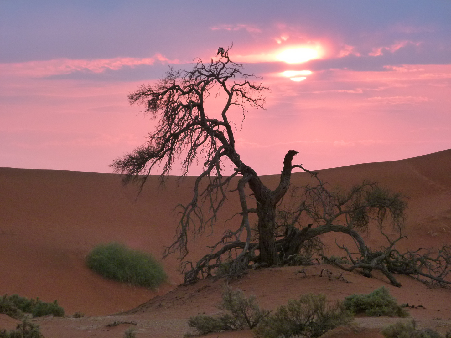 Sonnenuntergang in der Namib