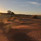 Sonnenuntergang in der Namib