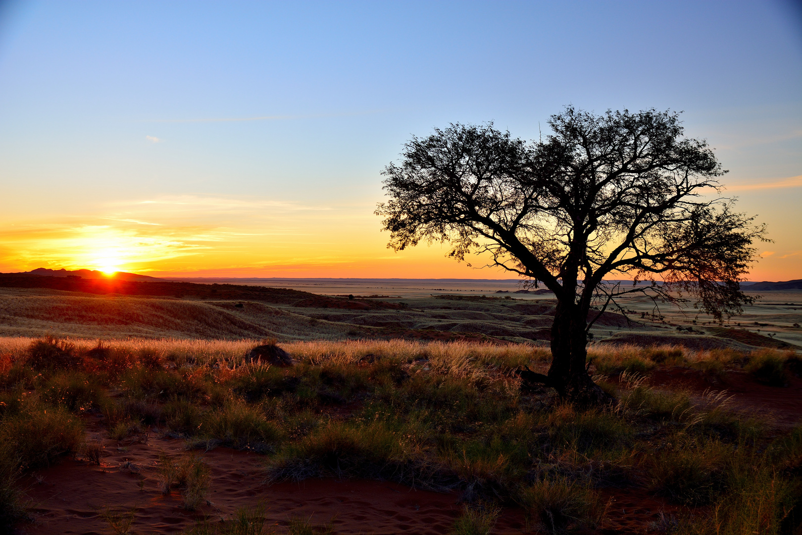 Sonnenuntergang in der Namib Wüste