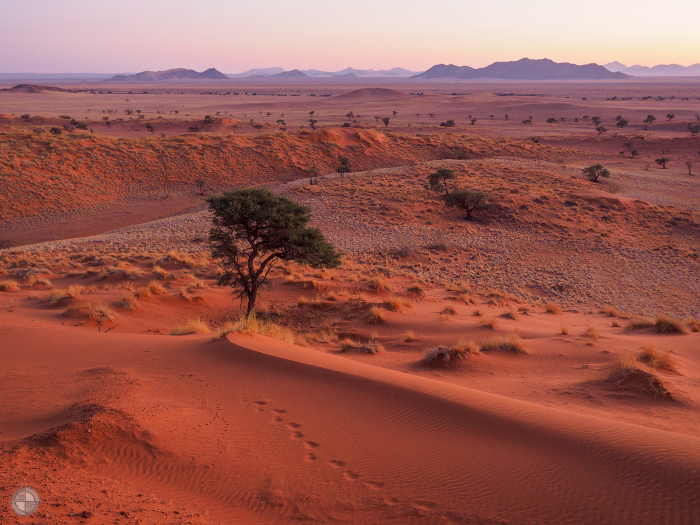 Sonnenuntergang in der Namib Wüste