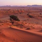 Sonnenuntergang in der Namib Wüste
