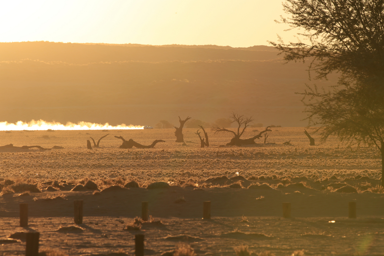 Sonnenuntergang in der Namib-Wüste