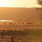 Sonnenuntergang in der Namib-Wüste