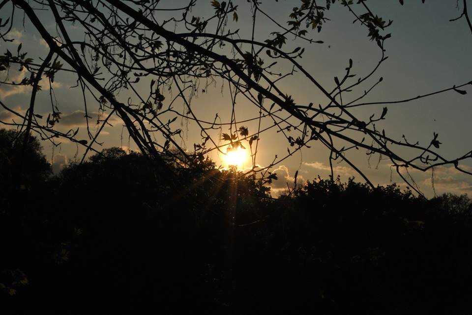 Sonnenuntergang in der Natur