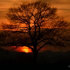 Sonnenuntergang in der Oberlausitz