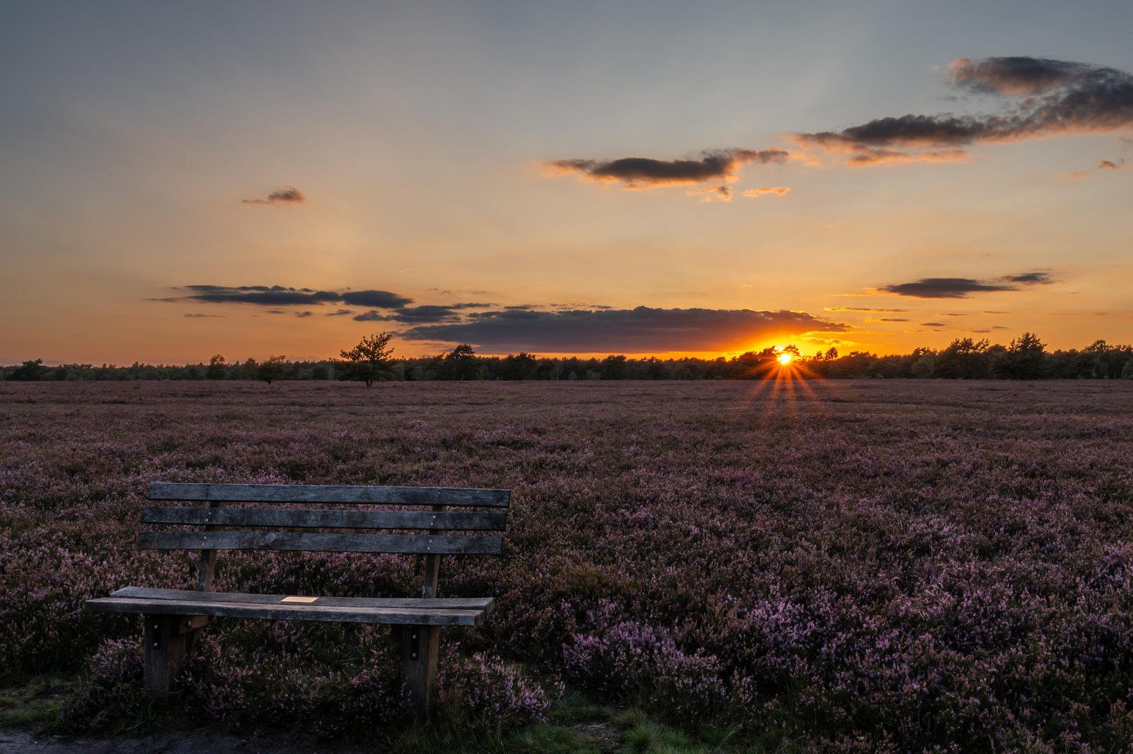 Sonnenuntergang in der Osterheide bei Schneverdingen