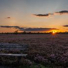 Sonnenuntergang in der Osterheide bei Schneverdingen