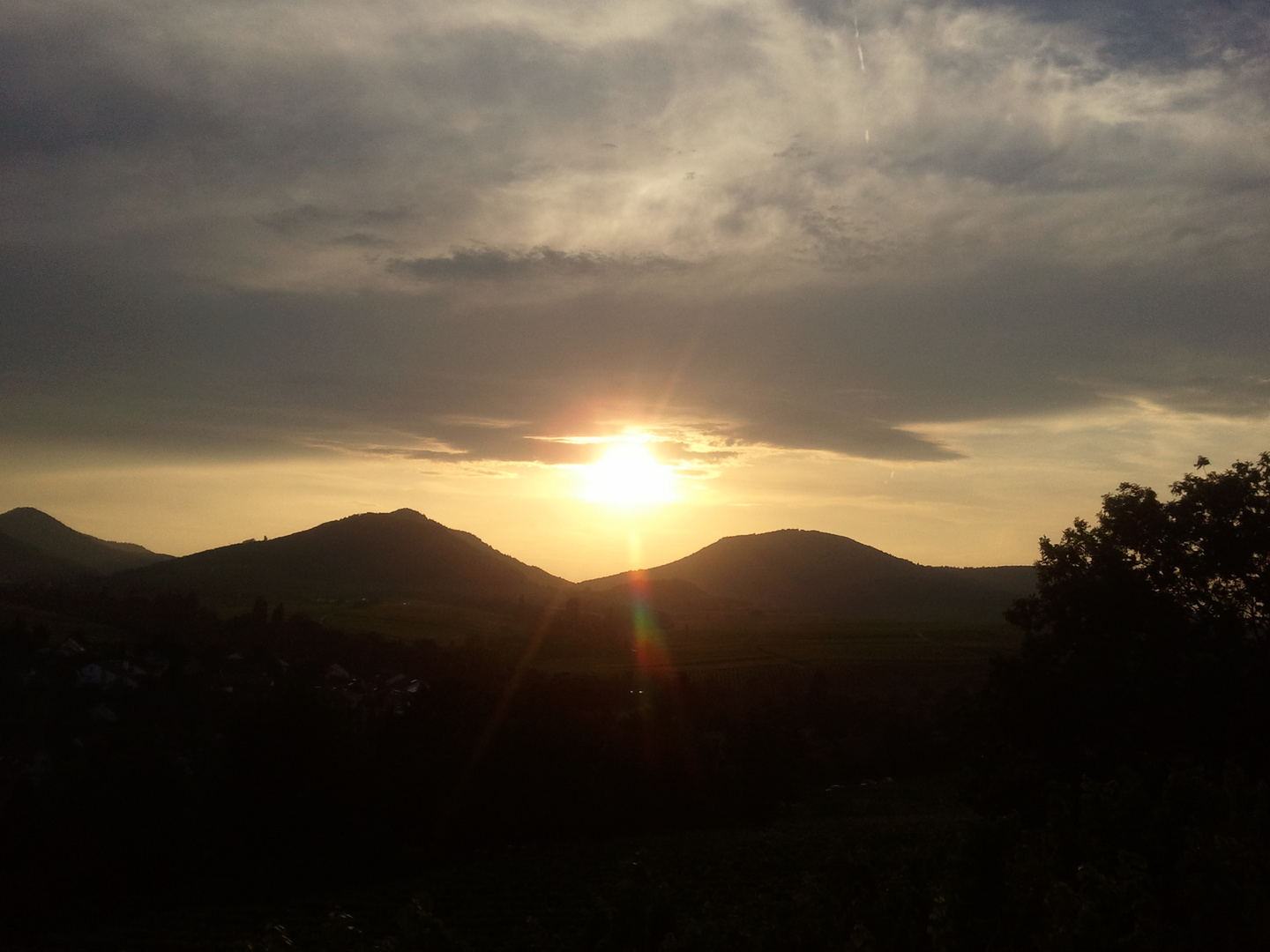 Sonnenuntergang in der Pfalz