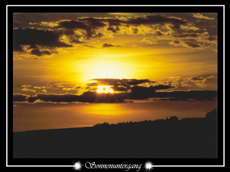 Sonnenuntergang in der Pfalz