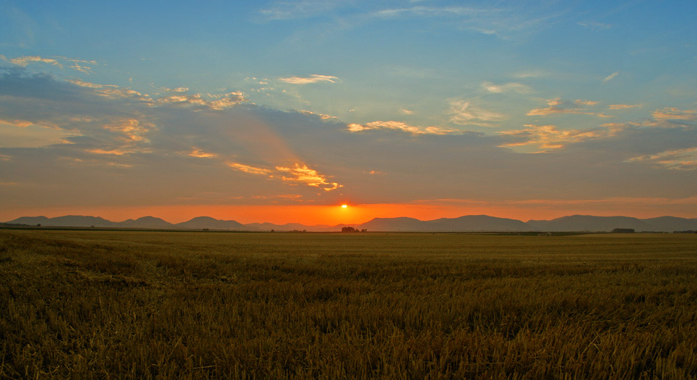 Sonnenuntergang in der Pfalz