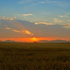 Sonnenuntergang in der Pfalz