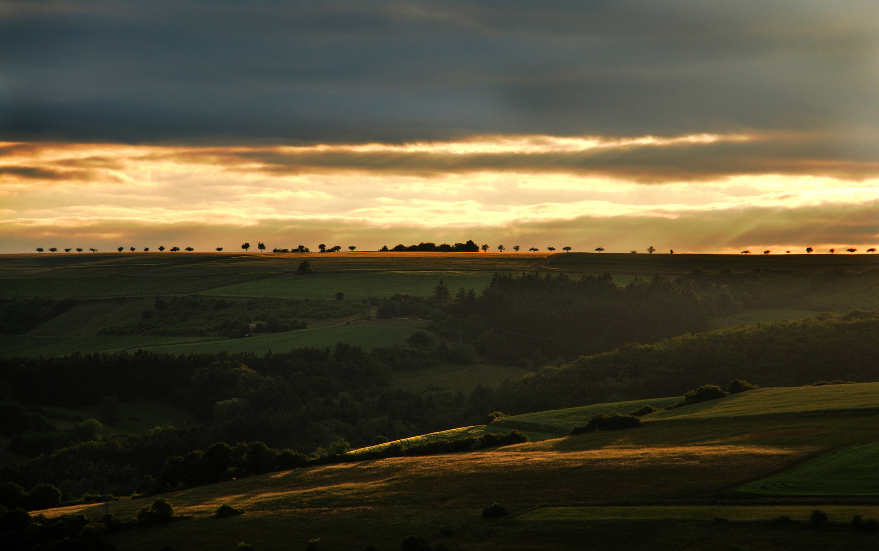 Sonnenuntergang in der Pfalz