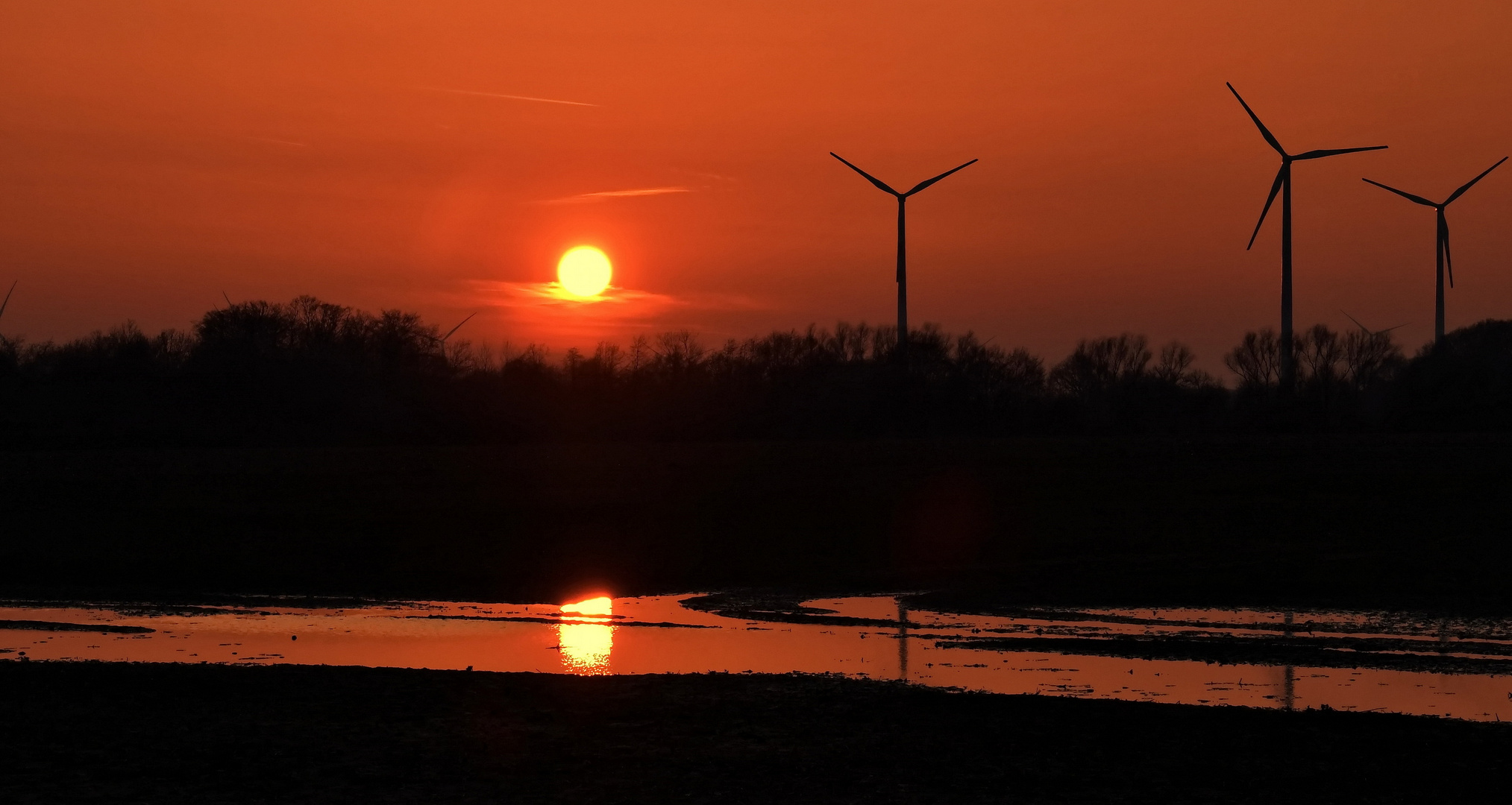 Sonnenuntergang in der Pfütze