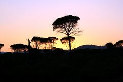 Sonnenuntergang in der Provence