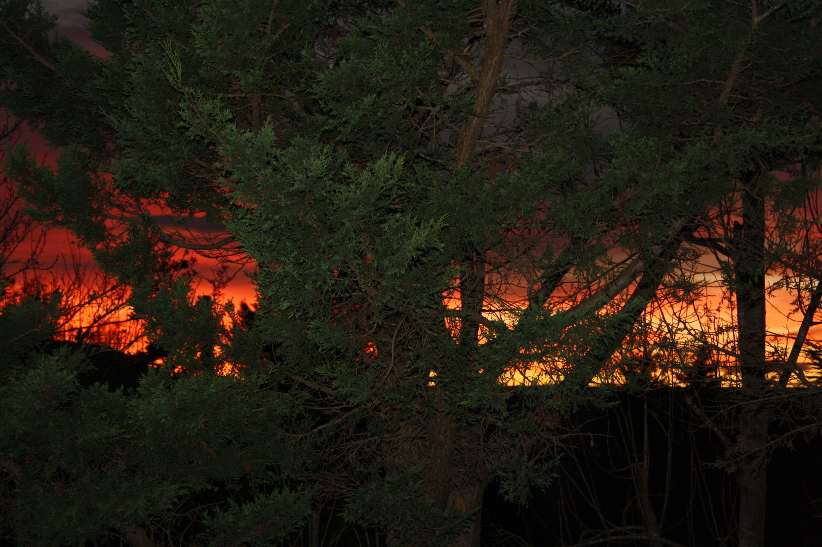 Sonnenuntergang in der Provence