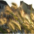 Sonnenuntergang in der Provins