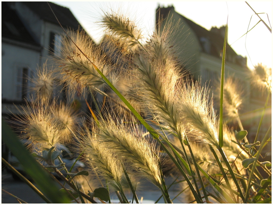 Sonnenuntergang in der Provins