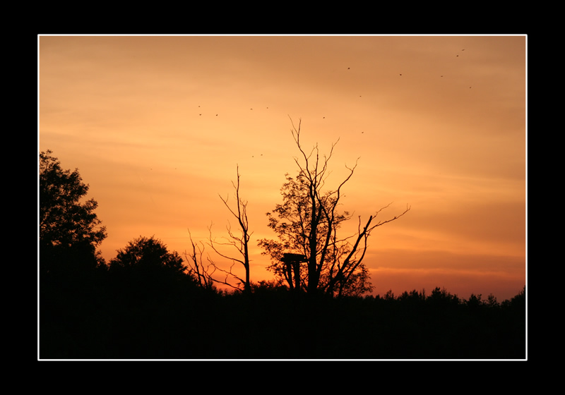 Sonnenuntergang in der Puszta