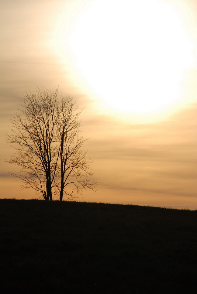 Sonnenuntergang in der Röhn