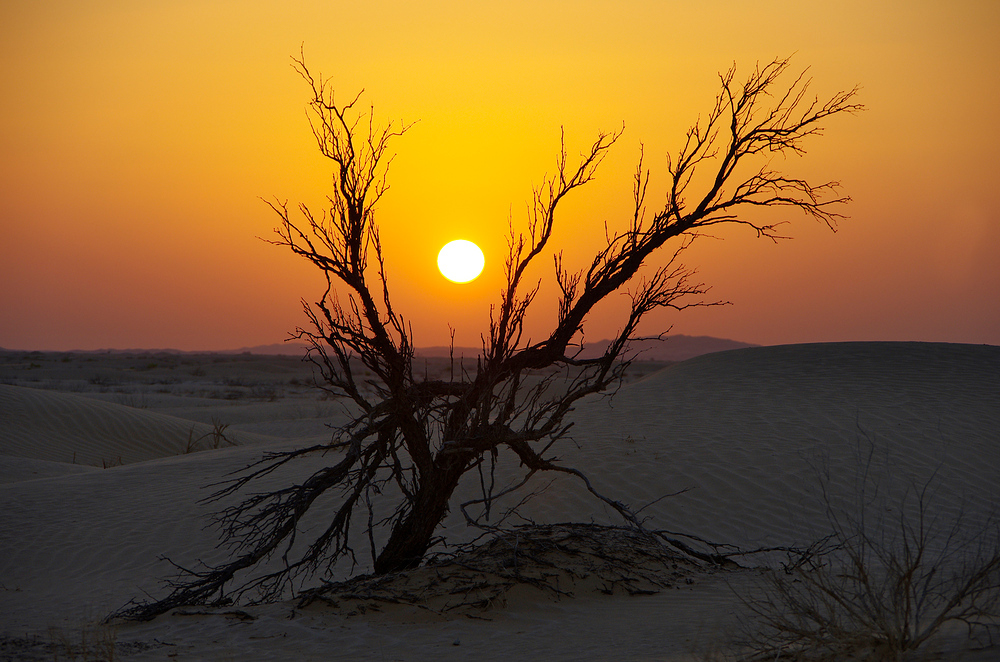 Sonnenuntergang in der Rub al Khali...