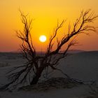 Sonnenuntergang in der Rub al Khali...