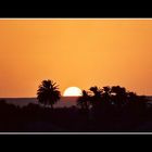 Sonnenuntergang in der Sahara