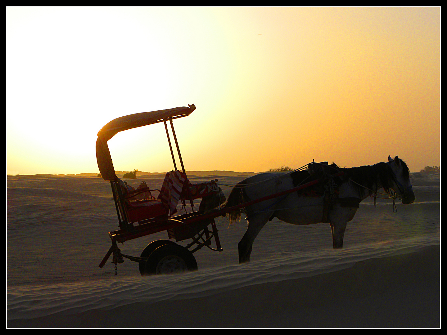 Sonnenuntergang in der Sahara