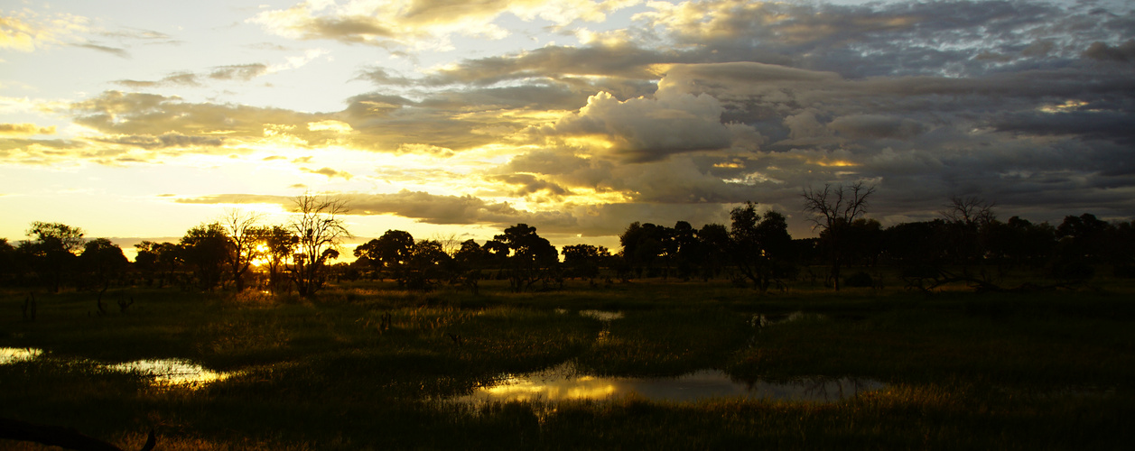 Sonnenuntergang in der Savanne