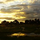 Sonnenuntergang in der Savanne