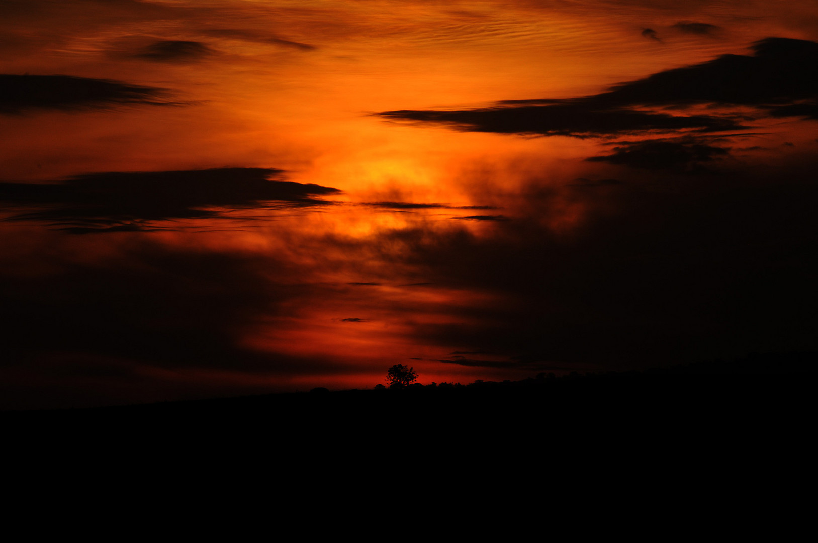 Sonnenuntergang in der Savanne Afrikas