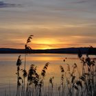 Sonnenuntergang in der Scheiz