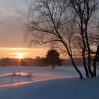 Sonnenuntergang in der Senne bei Augustdorf