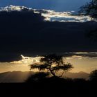 Sonnenuntergang in der Serengeti