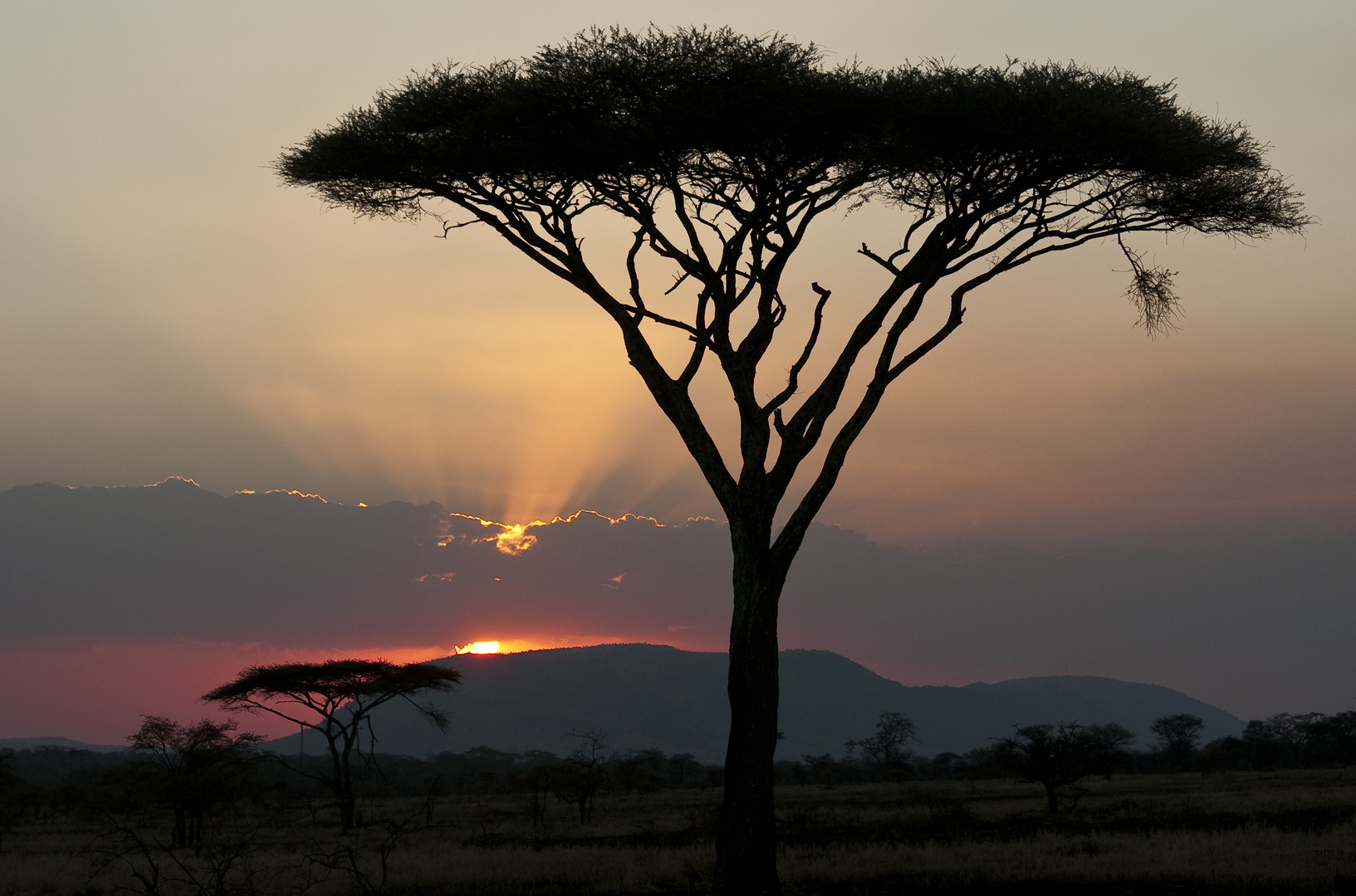 Sonnenuntergang in der Serengeti